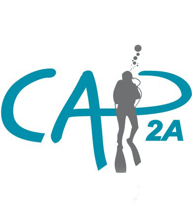 CAP2A